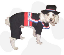 Cargar imagen en el visor de la galería, TRAJE DICIOCHERO PERRITOS TALLAS S A XXL