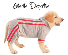 Cargar imagen en el visor de la galería, CURSO EXPRESS 12 MODELITOS PARA PERROS