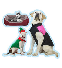 Cargar imagen en el visor de la galería, Curso Ropa y Accesorios para Perros + 100 MOLDES