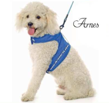 Cargar imagen en el visor de la galería, CURSO ROPADE PERROS 34 DISEÑOS  DE ROPA Y CAMAS

