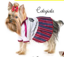 Cargar imagen en el visor de la galería, CURSO ROPADE PERROS 34 DISEÑOS  DE ROPA Y CAMAS
