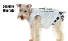 Cargar imagen en el visor de la galería, CURSO ROPADE PERROS 34 DISEÑOS  DE ROPA Y CAMAS
