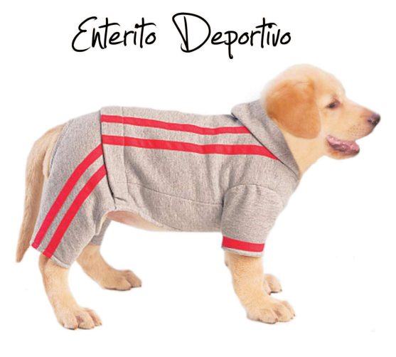 CURSO ROPADE PERROS 34 DISEÑOS  DE ROPA Y CAMAS