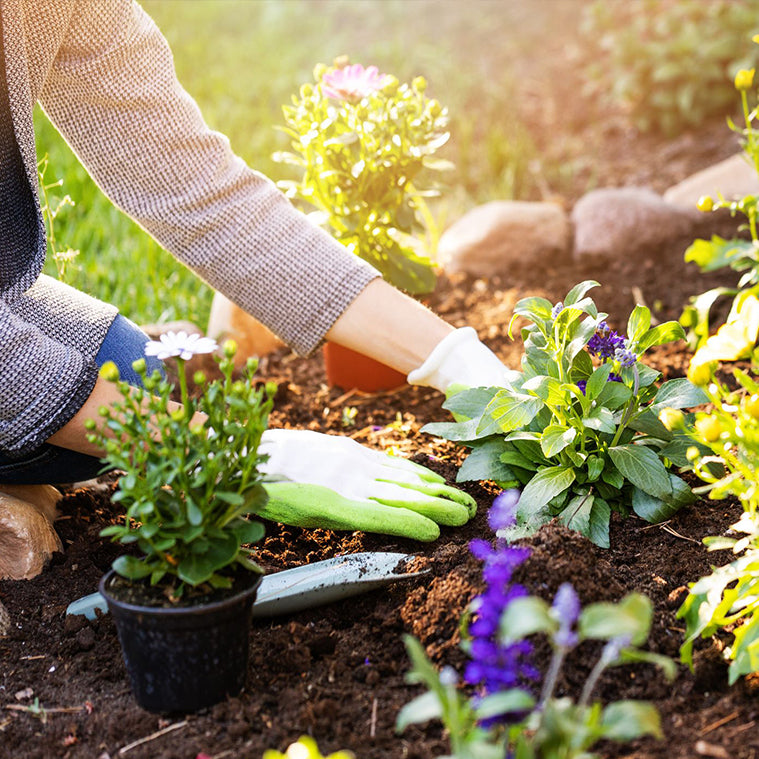 Jardinería